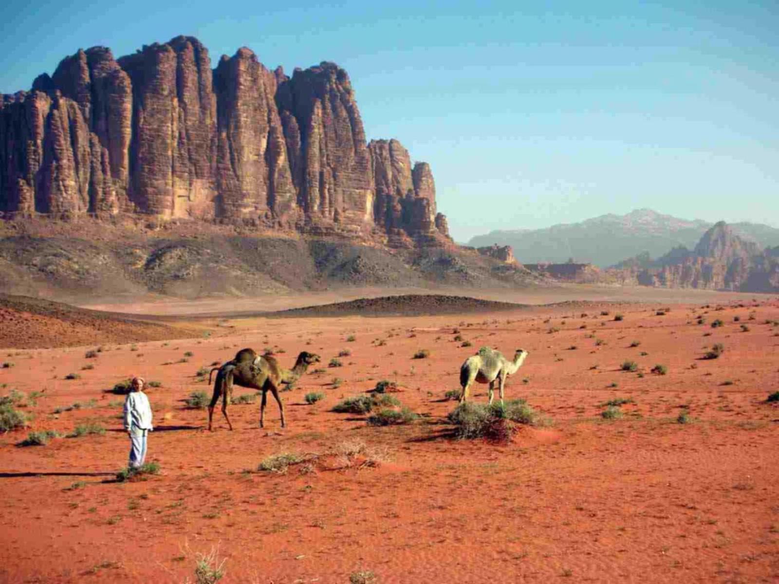 ホテル Wadi Rum Caeser Camp エクステリア 写真