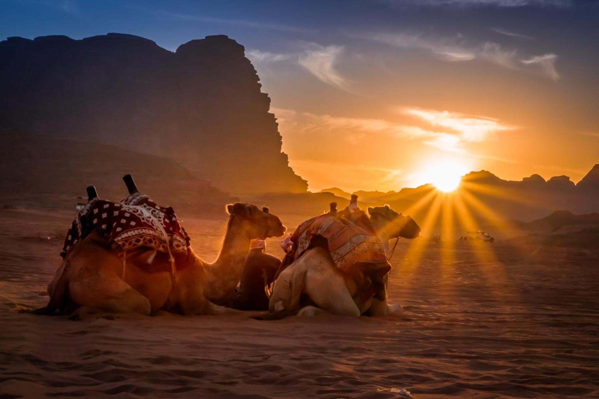 ホテル Wadi Rum Caeser Camp エクステリア 写真